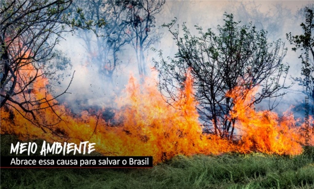 Sindicato dos Banc�arios de Presidente Prudente - Pacote da destruição: é a porteira aberta para a boiada passar